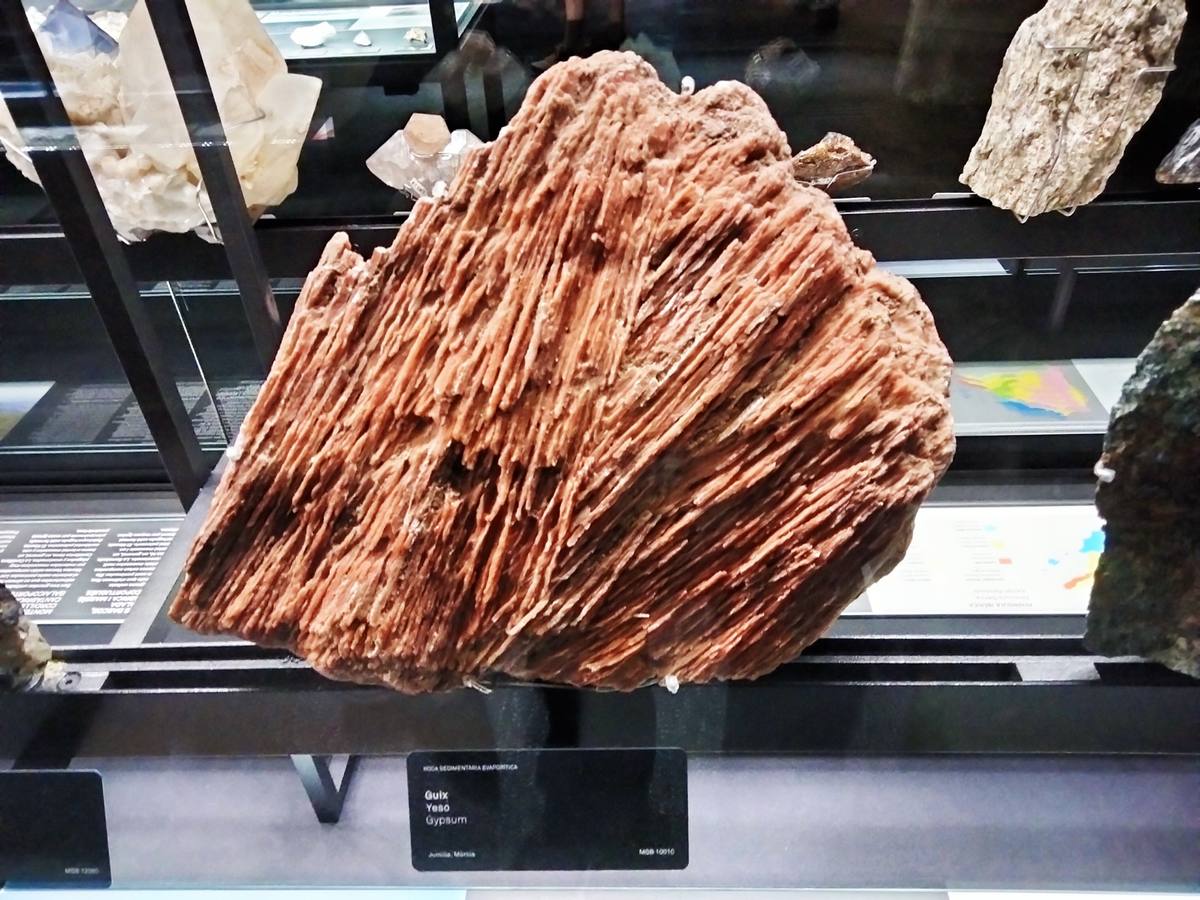 Gypsite sedimentary