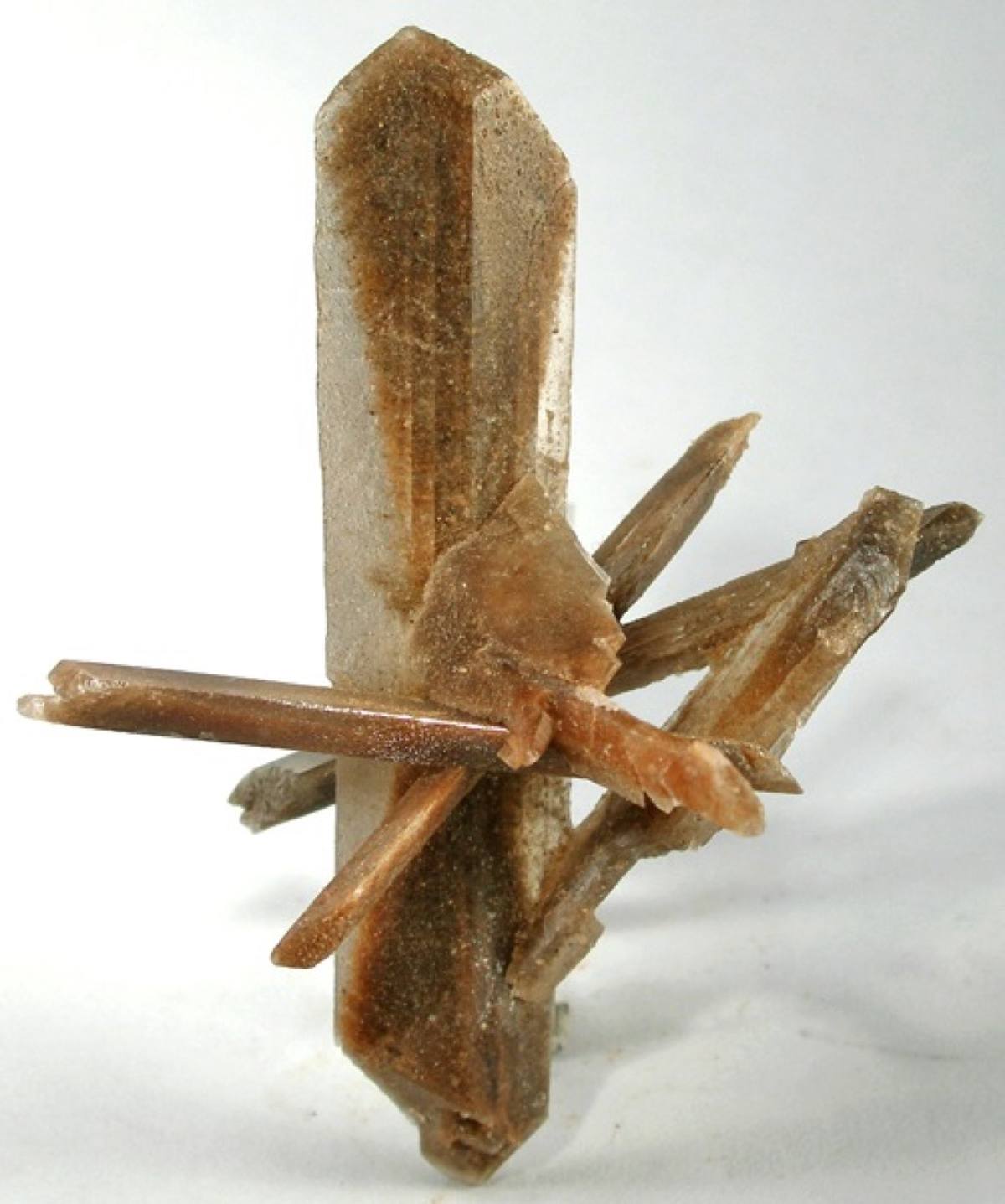 Hourglass selenite rosette with sand inclusions, Great Salt Plains, Oklahoma