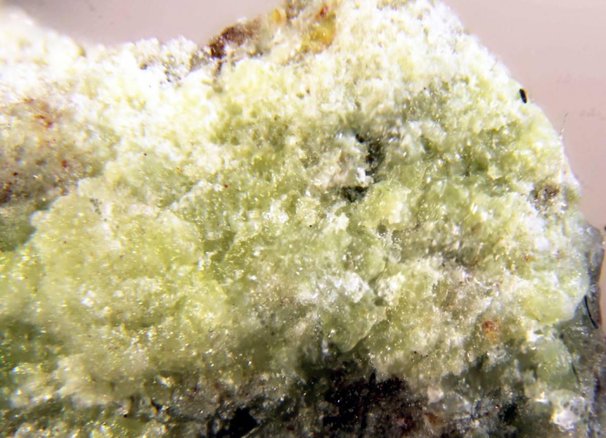 Pale yellow-green hashemite crust, Hashem region, Amman, Jordan