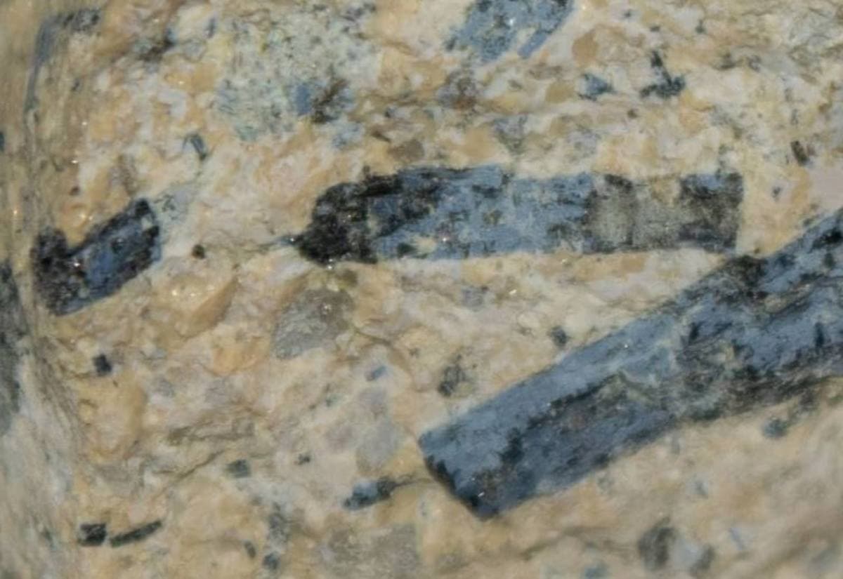 Black hornblende prisms in feldspathic rock