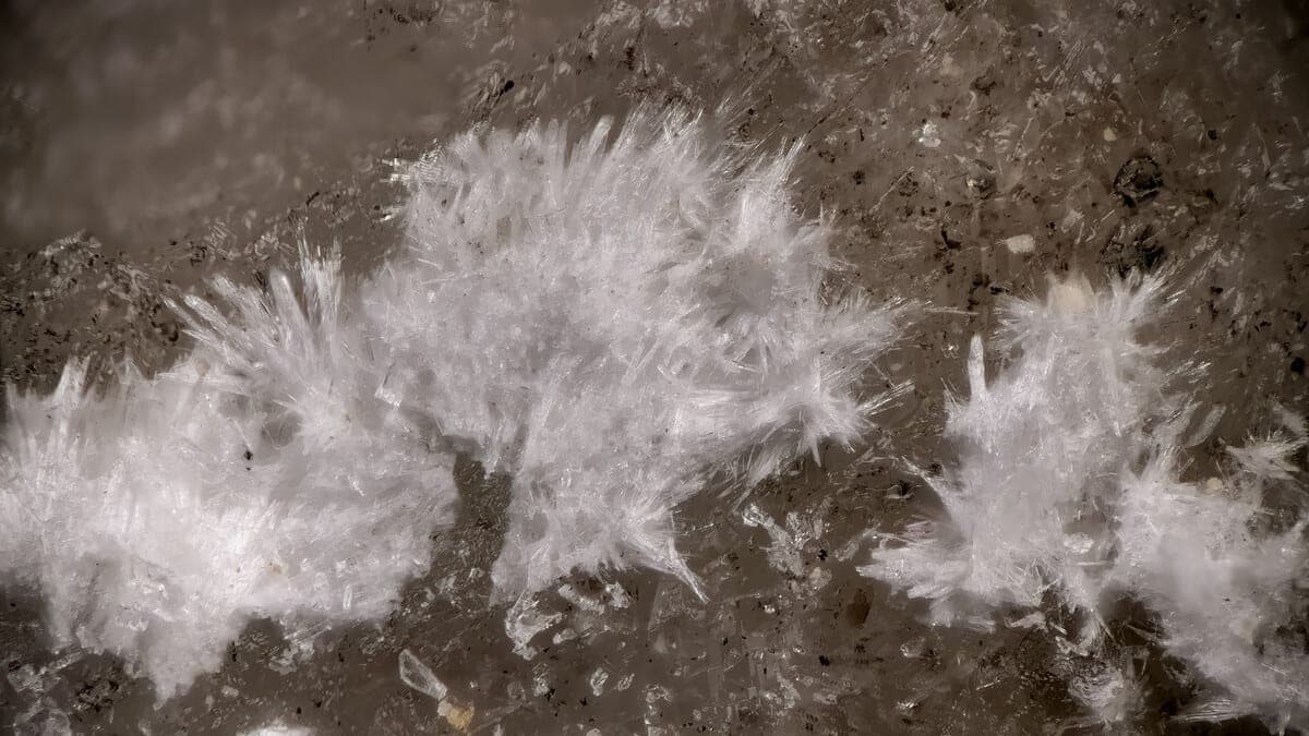 Hydroglauberite mineral