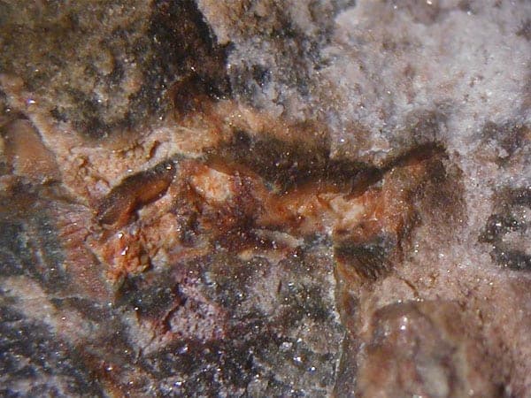 Hydroxylellestadite mineral