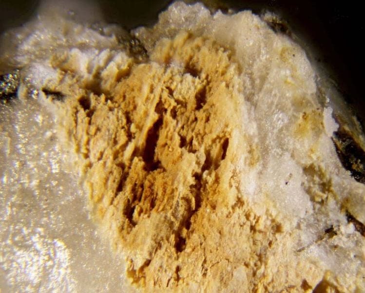 Ilímaussite-(Ce) mineral