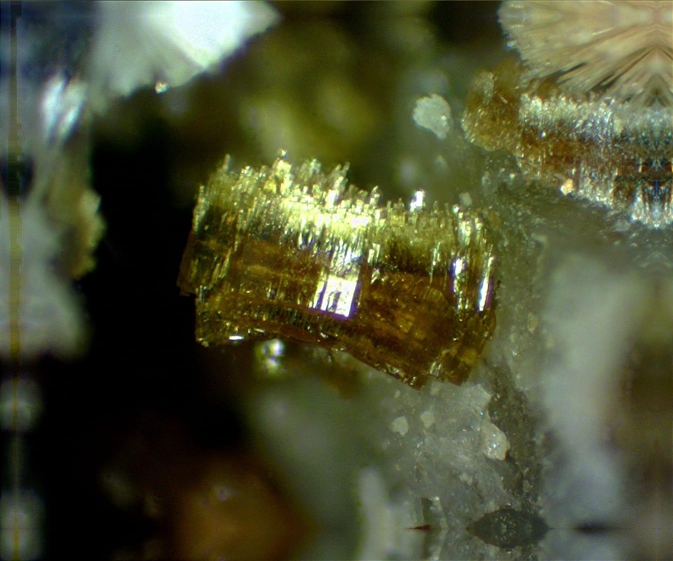 Jahnsite-(MnMnMg) mineral
