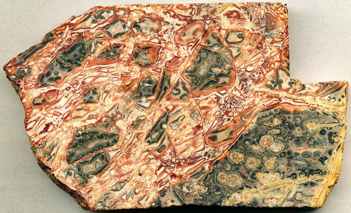 Green and cream orbicular jasper