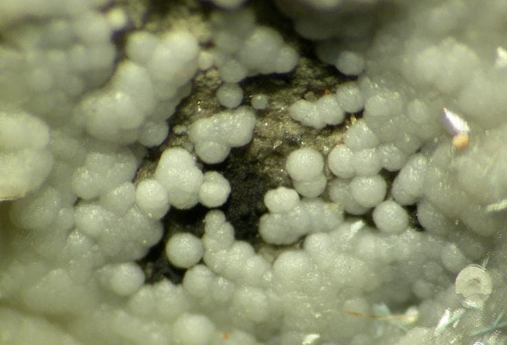 Kamphaugite-(Y) mineral