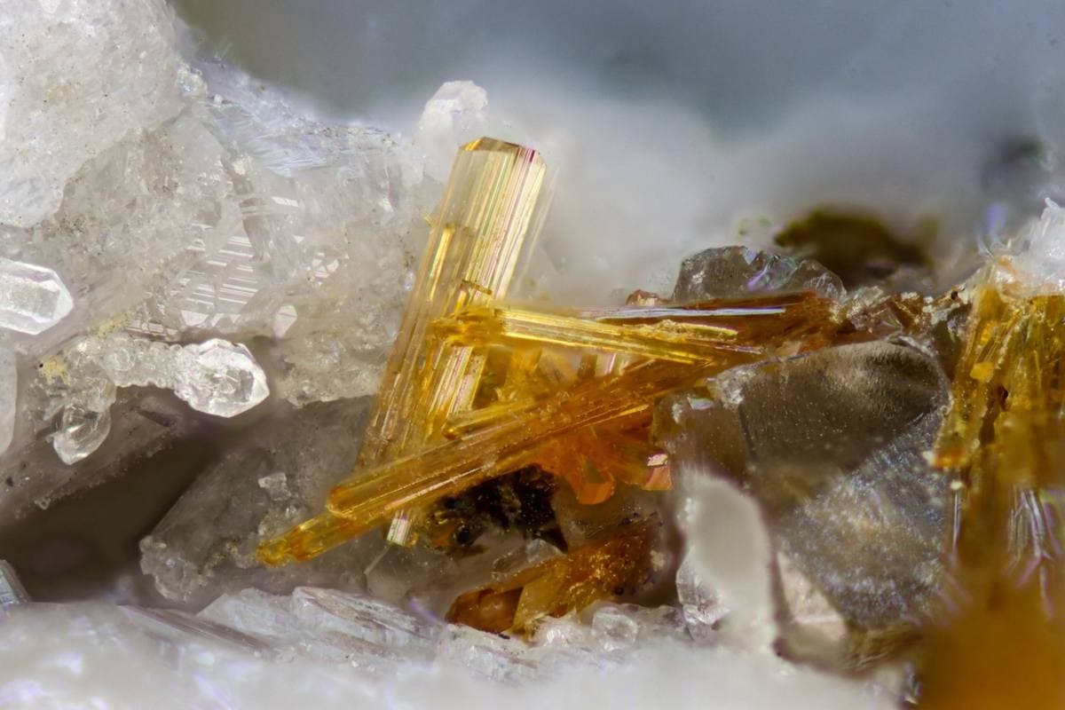 Golden-orange labuntsovite sprays on quartz, Mont Saint-Hilaire