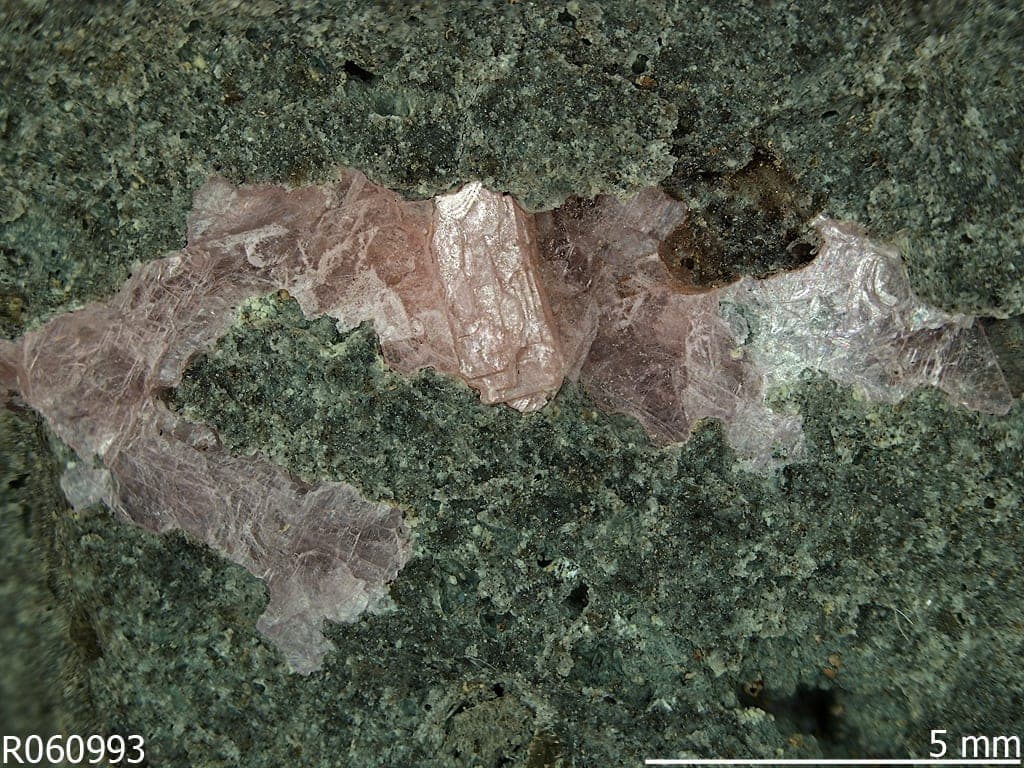 Lanthanite-(Nd) mineral