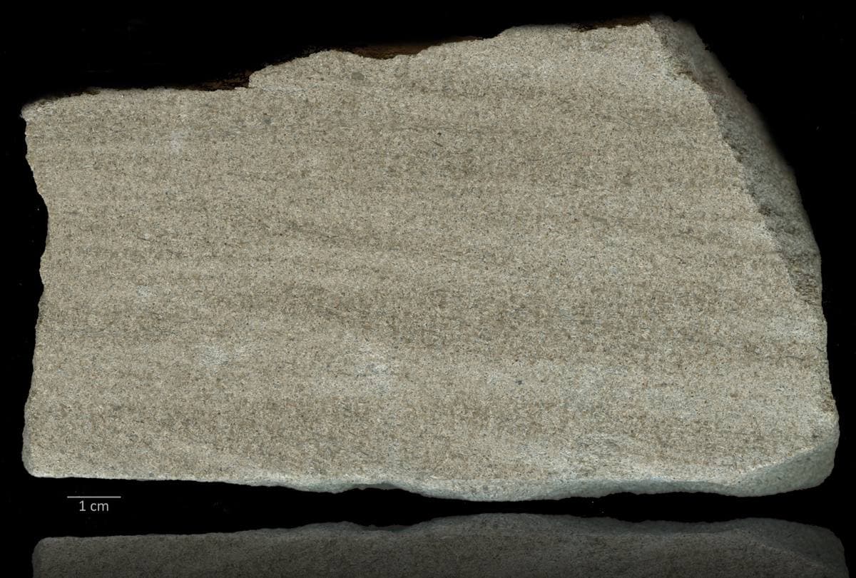 Limestone sedimentary