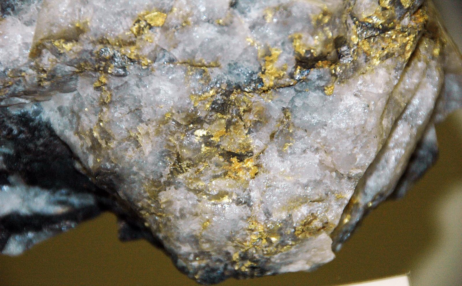 Gold in quartz from the Homestake Mine, Lead, South Dakota