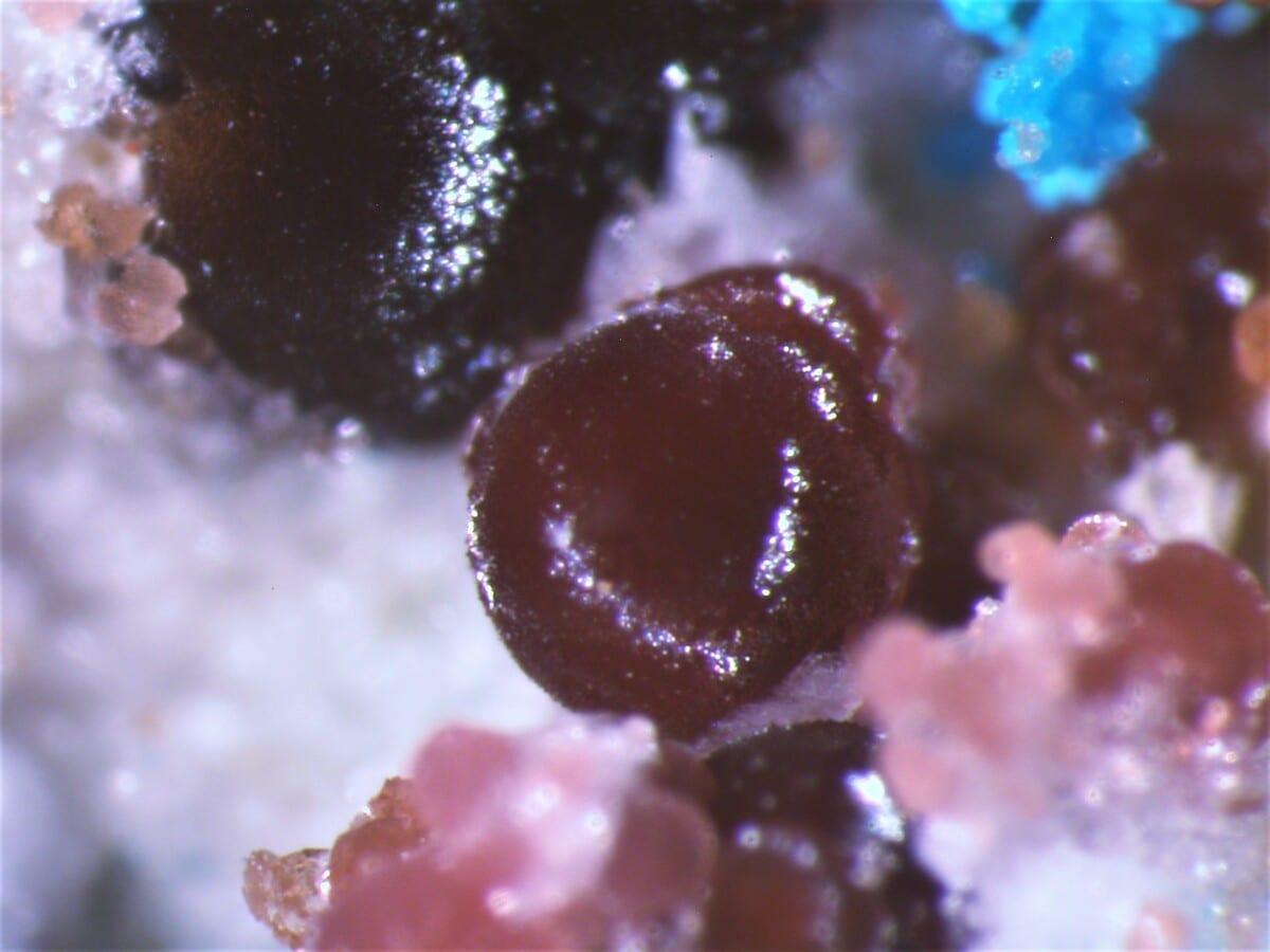 Magnesiocanutite mineral