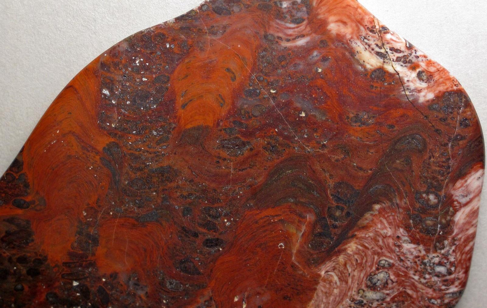 Polished Mary Ellen jasper showing red stromatolite columns
