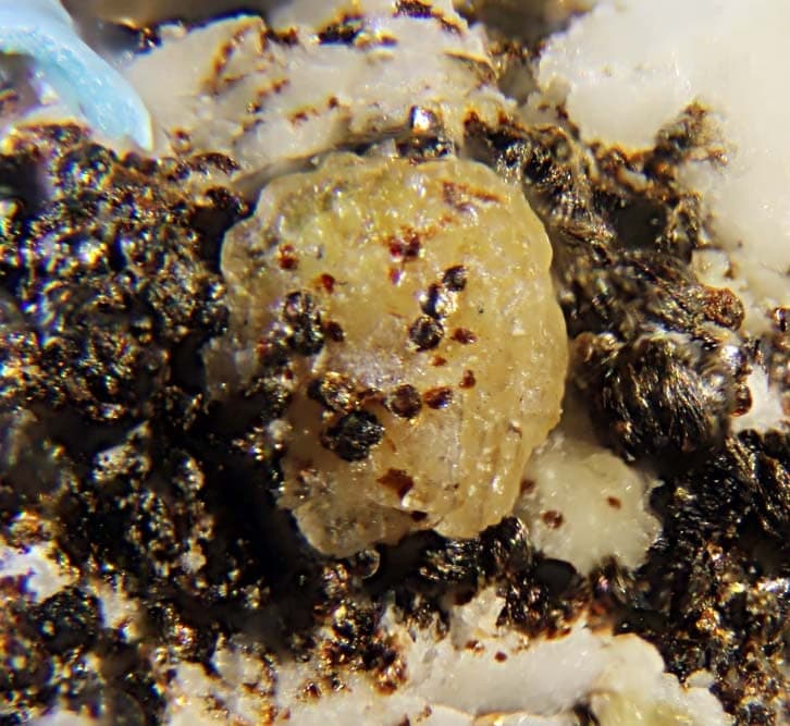 Mckelveyite-(Y) mineral