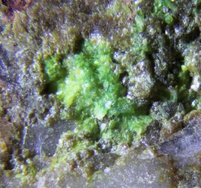 Mendozavilite-NaCu mineral