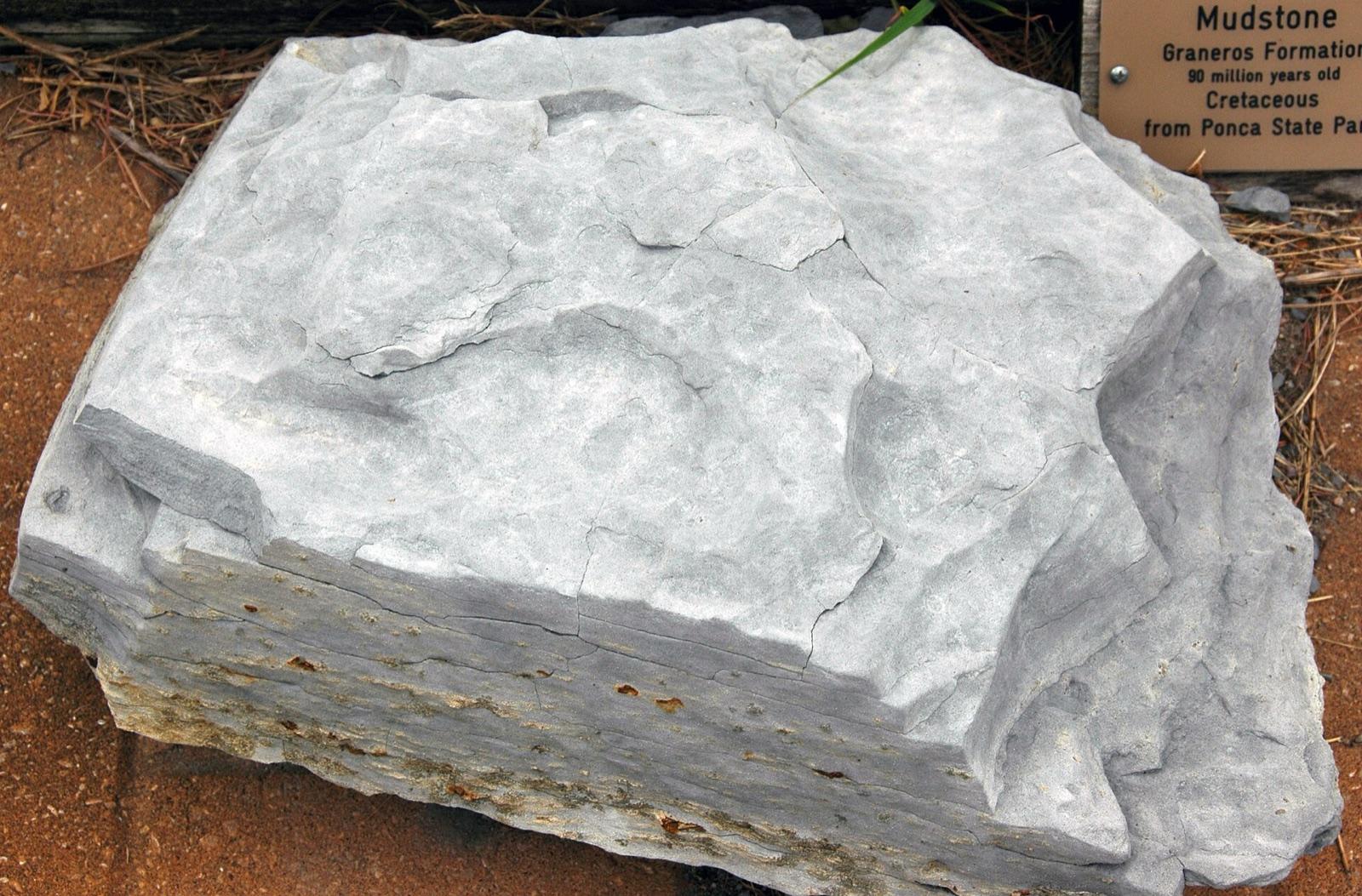 Grey mudstone block from the Graneros Formation, Ponca State Park, Nebraska