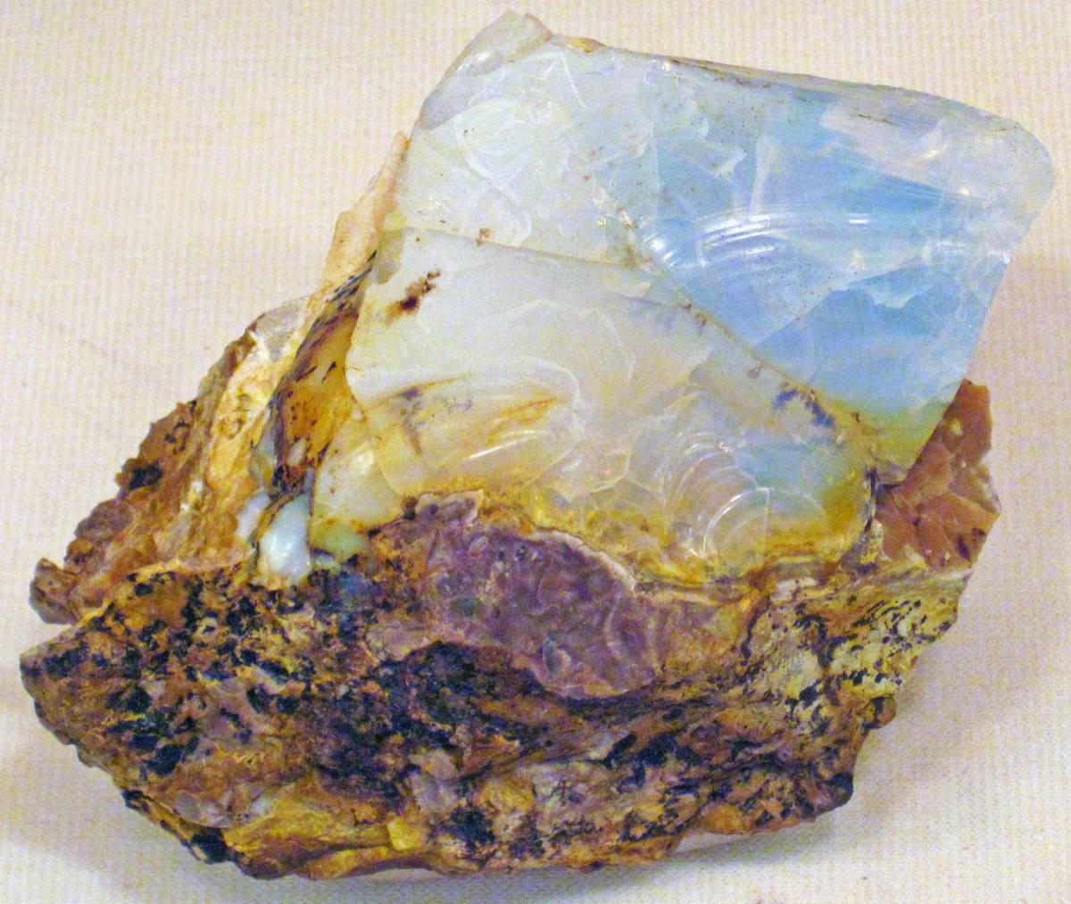 Nodules Filled With Opal fossil