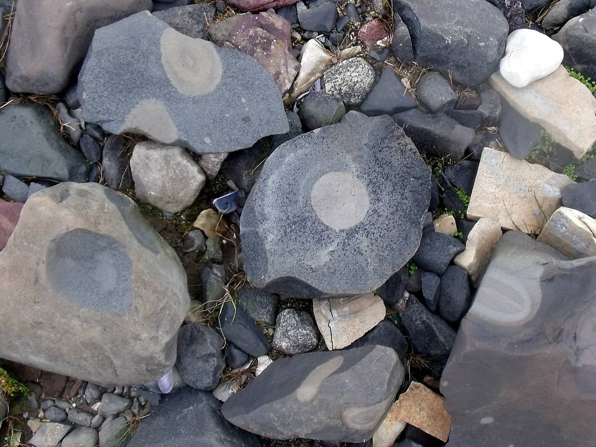 Omar cobbles in beach gravel as found