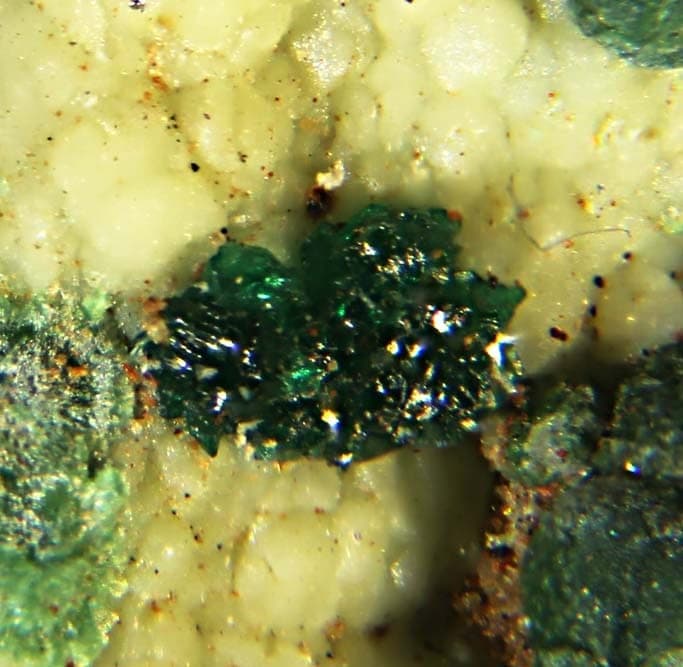 Paratacamite-(Ni) mineral