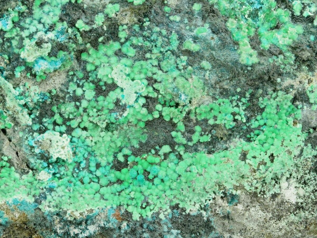 Pauladamsite mineral