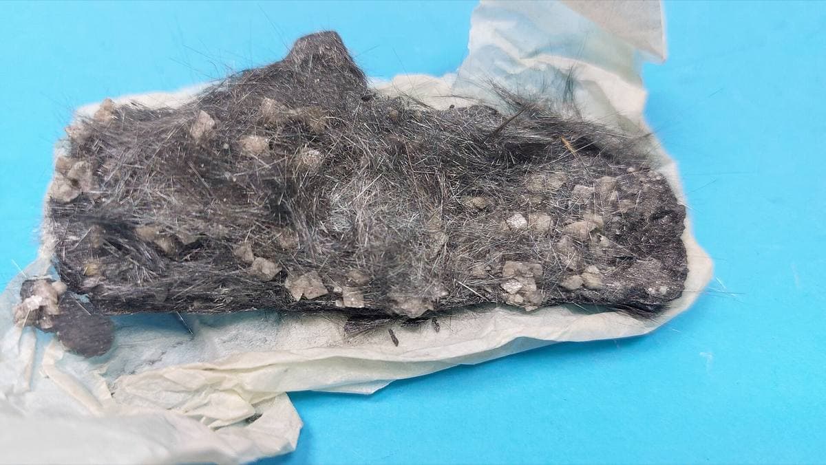 Hair-like plumosite fibres, Trepča