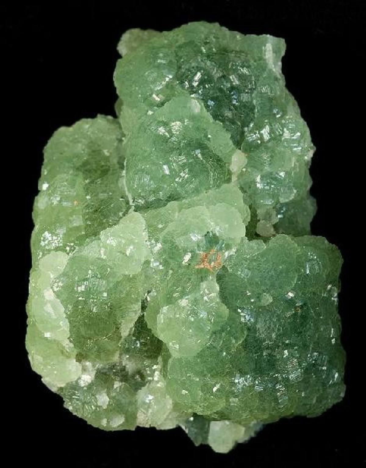 Sea-green tabular prehnite crystals, East Granby, Connecticut