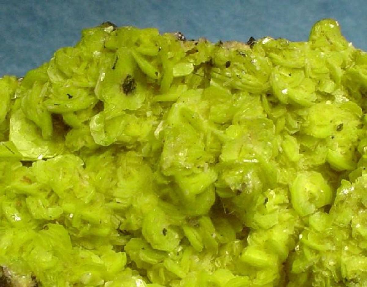 Canary-yellow autunite blades, Haute-Vienne, France