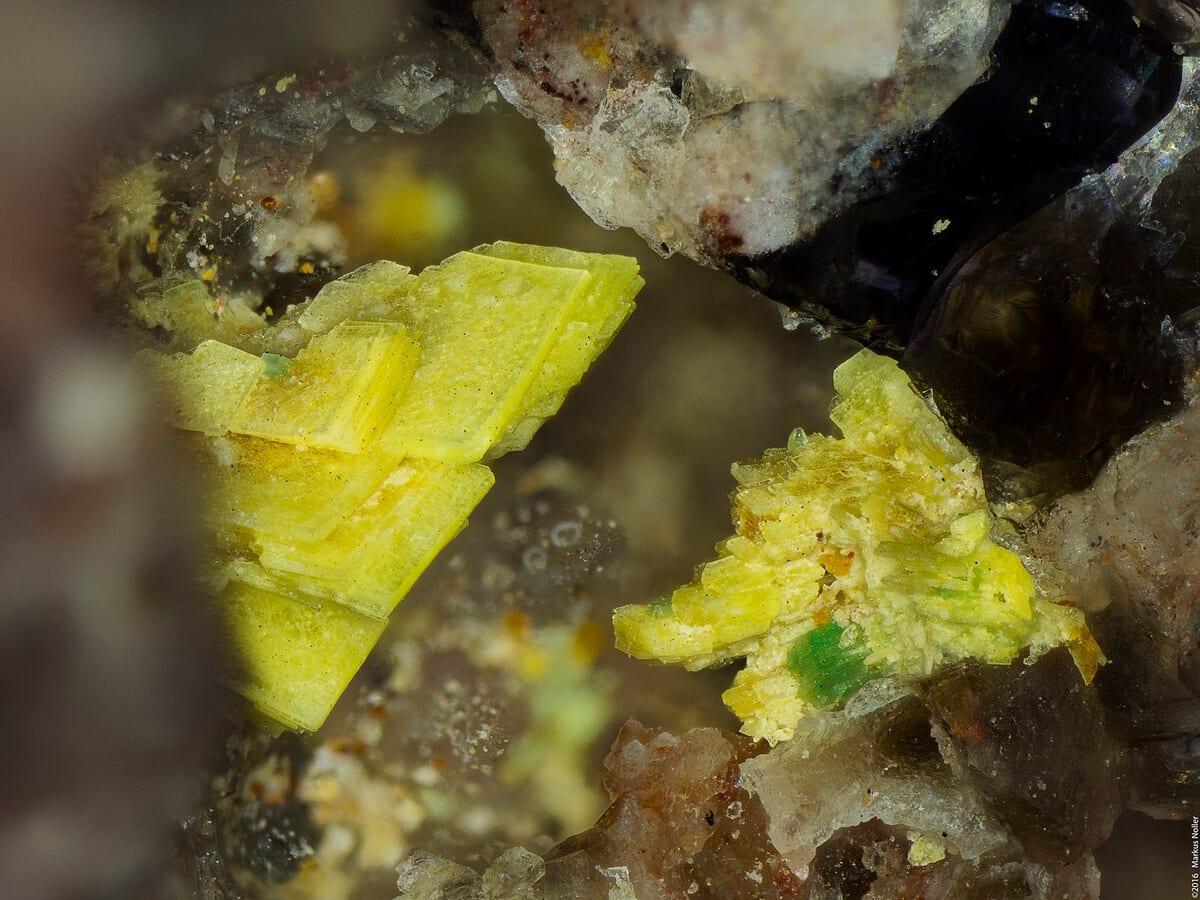 Rauchite mineral