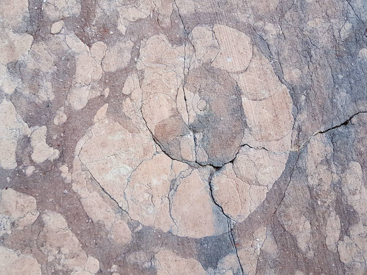Red Marble