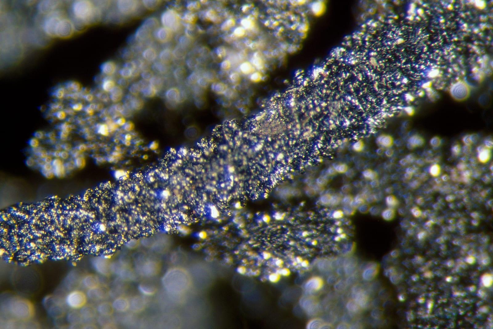 Reynoldsite mineral