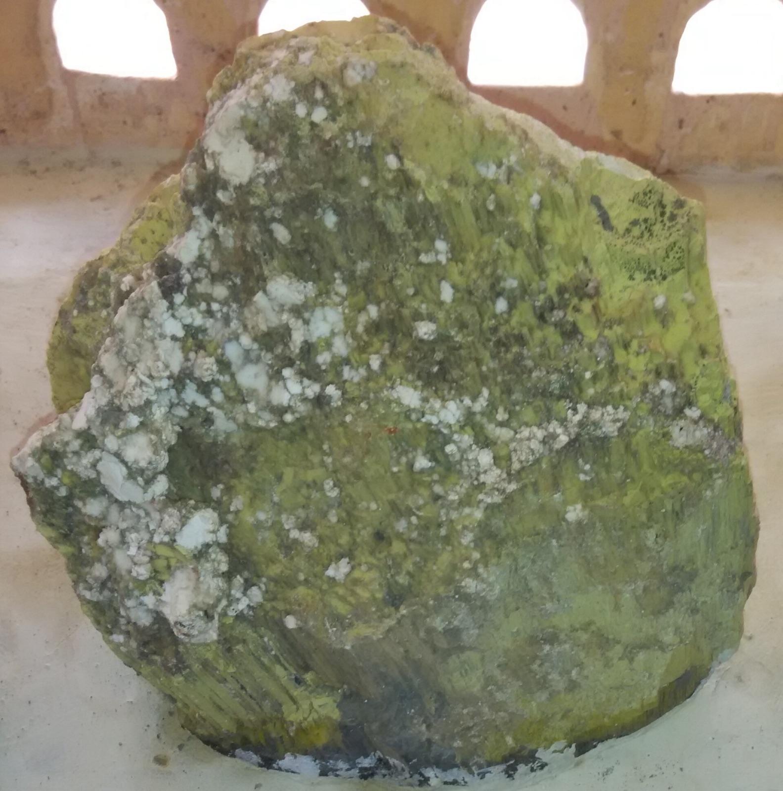 Yellow-green serpentine with white patches, Salem, Tamil Nadu, India