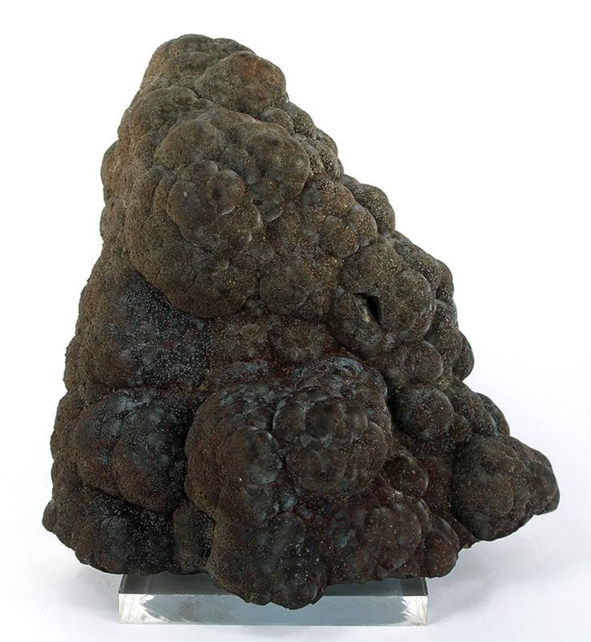 Brown botryoidal siderite, Campbell Mine, Bisbee, Arizona