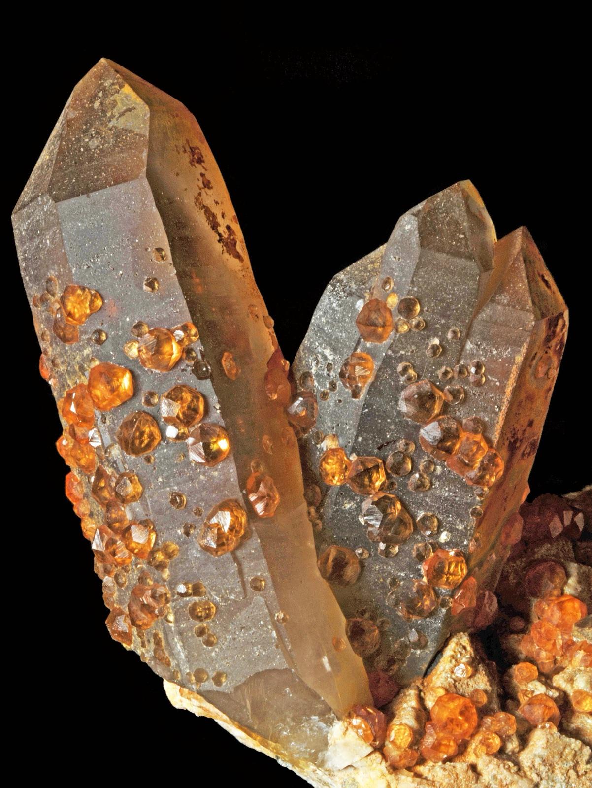 Small orange spessartine garnets perched on smoky quartz crystals, Wushan mine, Fujian, China
