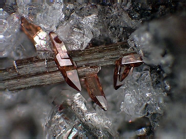 Sphene specimen - Titanite crystals on Amphibole   Ochtendung, Eifel, Germany