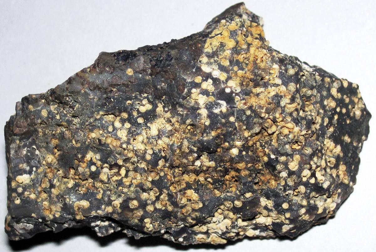 Chert with dense weathering spherulites, Flint Ridge, Ohio