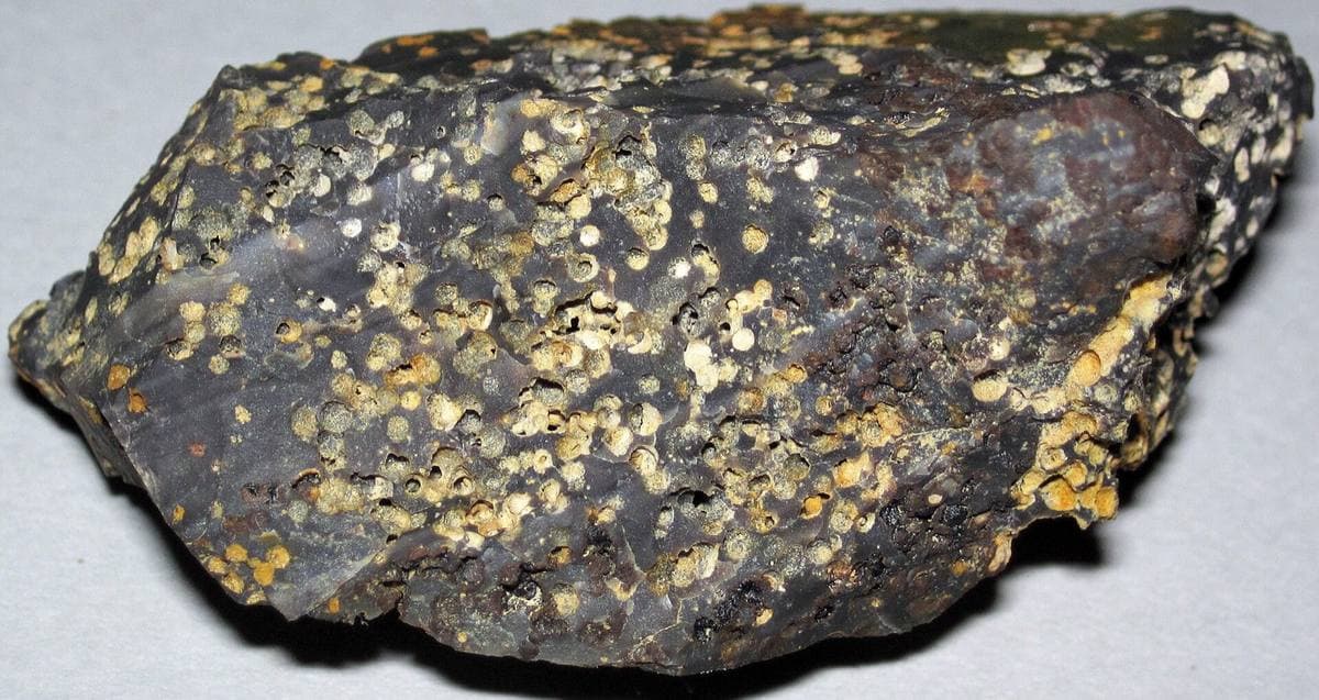 Spherulites resolved in dark grey chert, Flint Ridge, Ohio