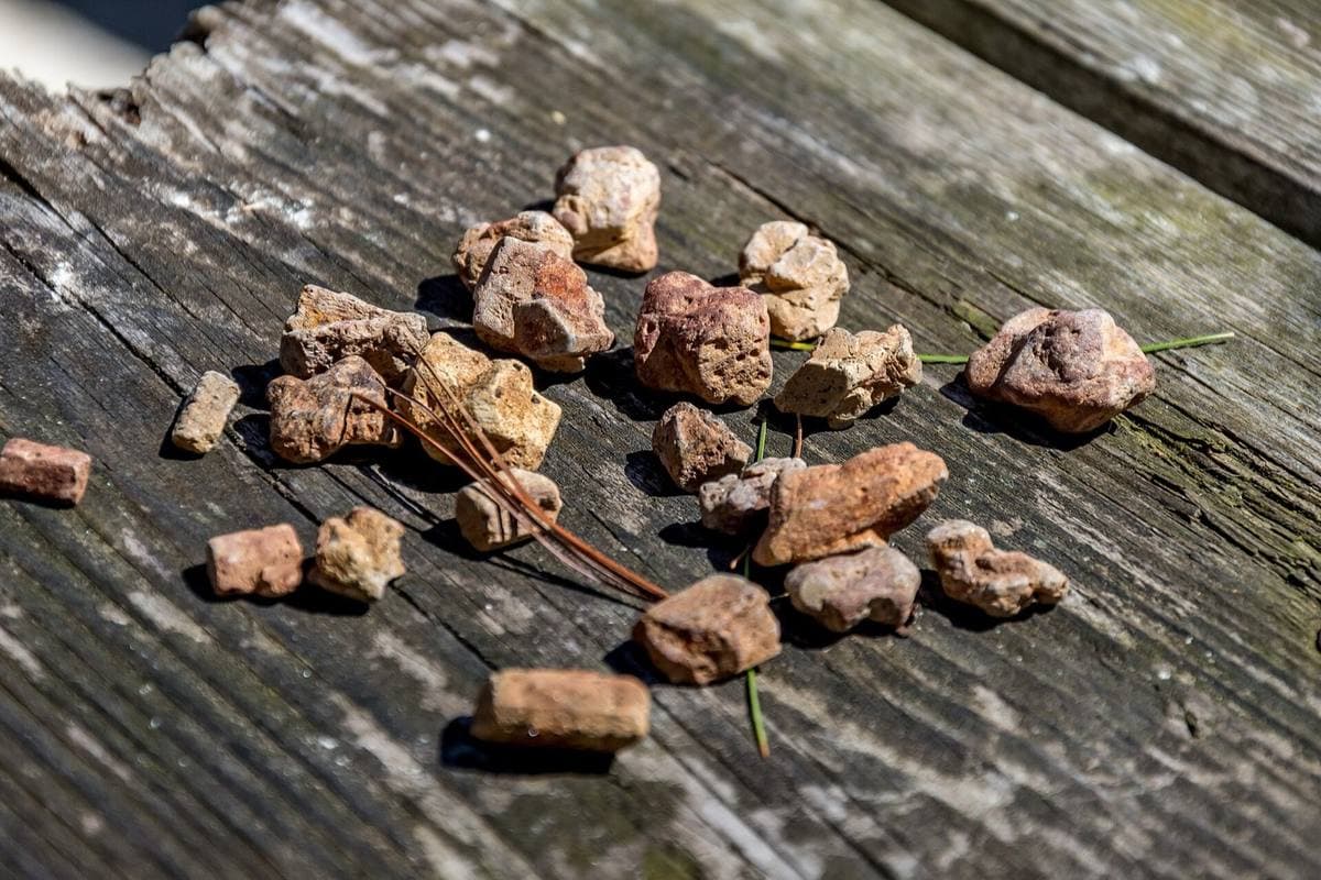 Weathered staurolite fairy stones as found, Virginia