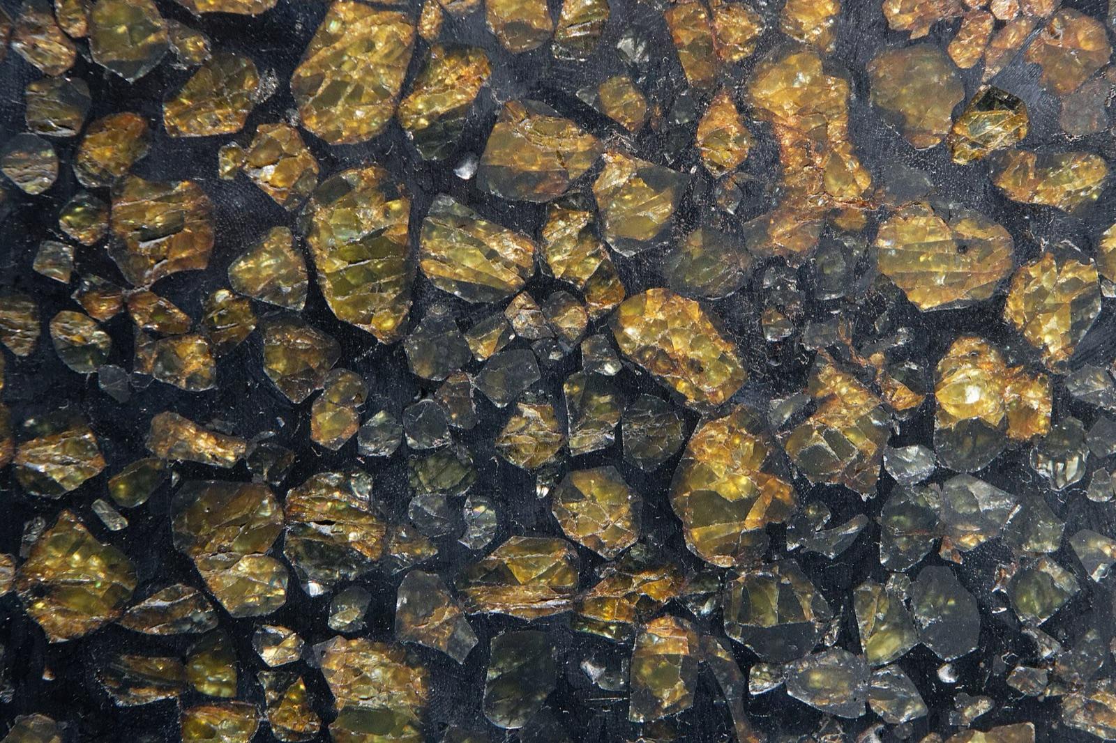 Polished slice of the Esquel pallasite, a stony-iron meteorite with olivine crystals in nickel-iron, MNHN Paris