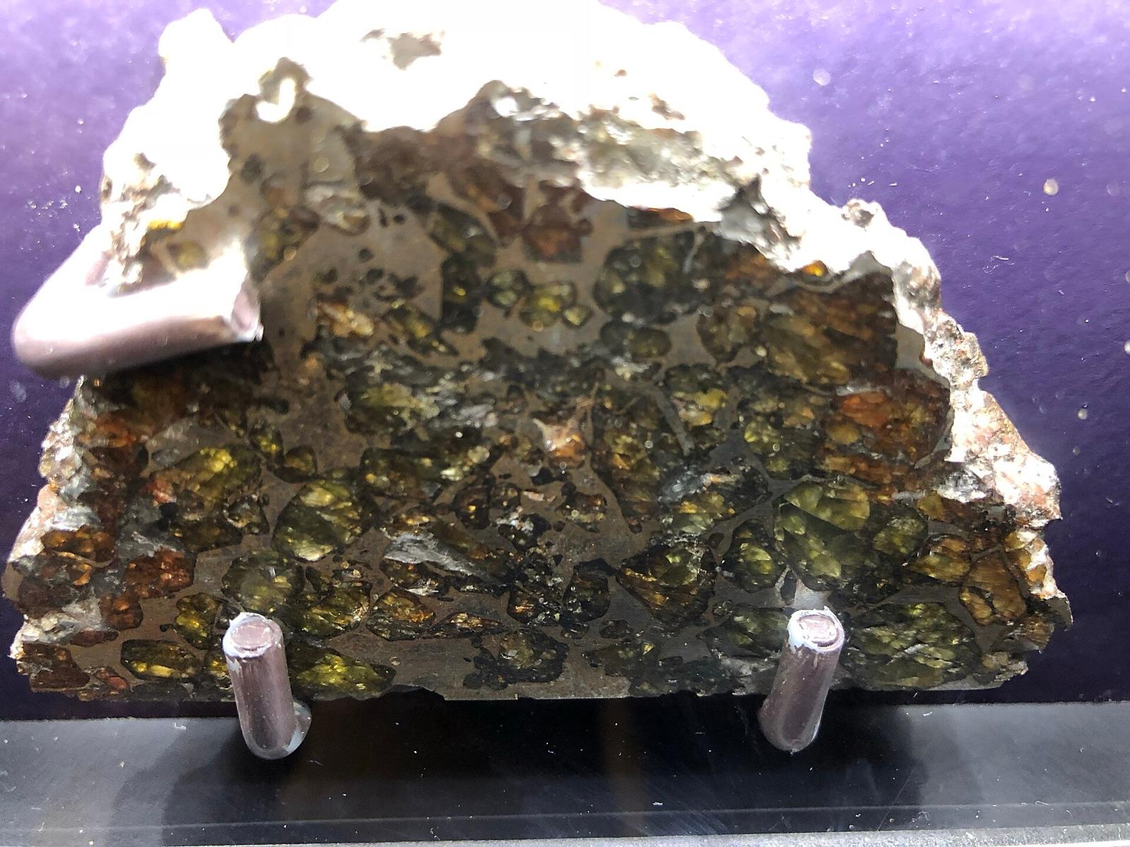 Polished stony-iron meteorite showing olivine embedded in metal, Boston Museum of Science