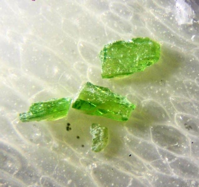 Vanadio-pargasite mineral