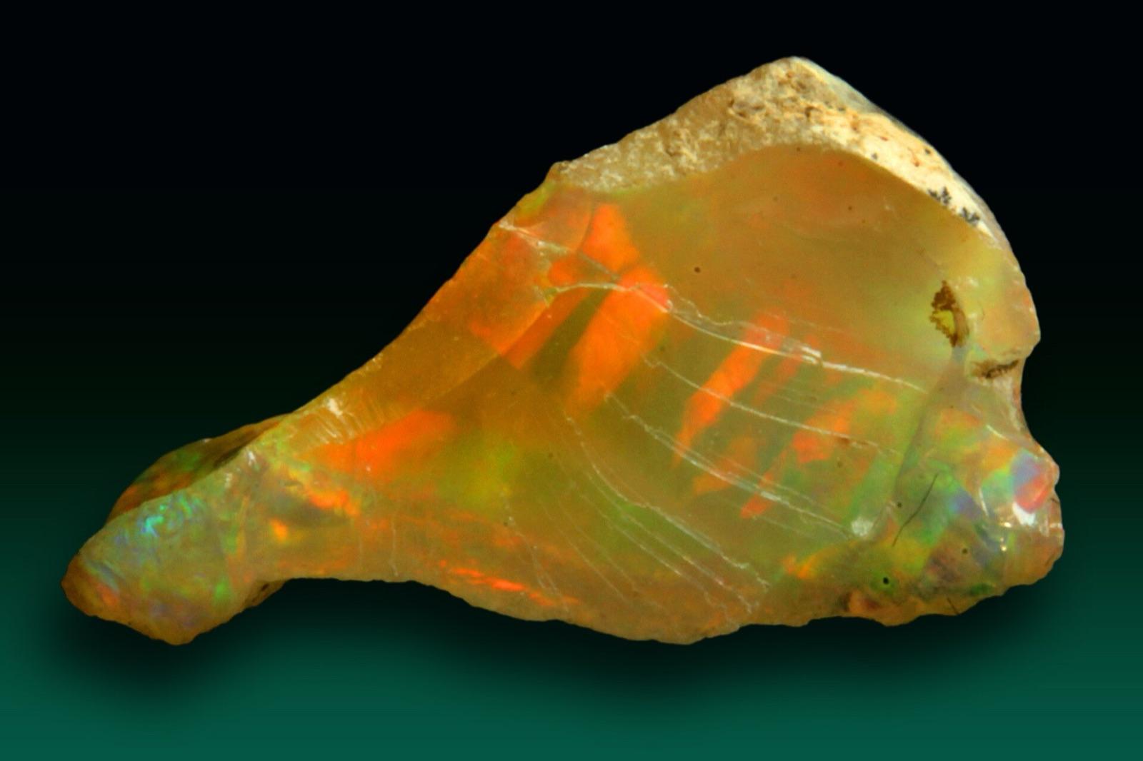 Rough Welo precious opal from Ethiopia with orange and green fire