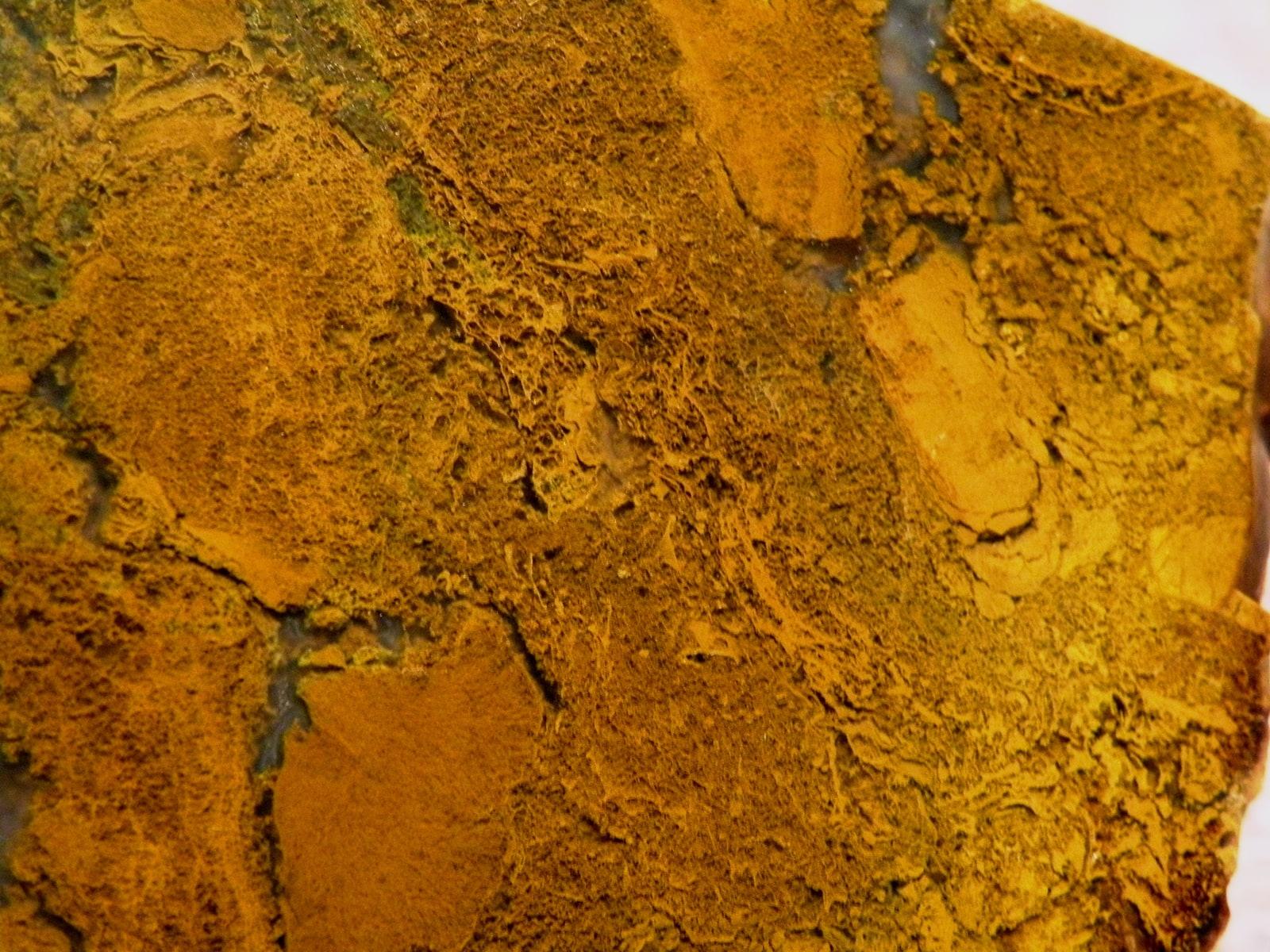 Yellow Jasper specimen - Cut and oiled yellow jasper 2