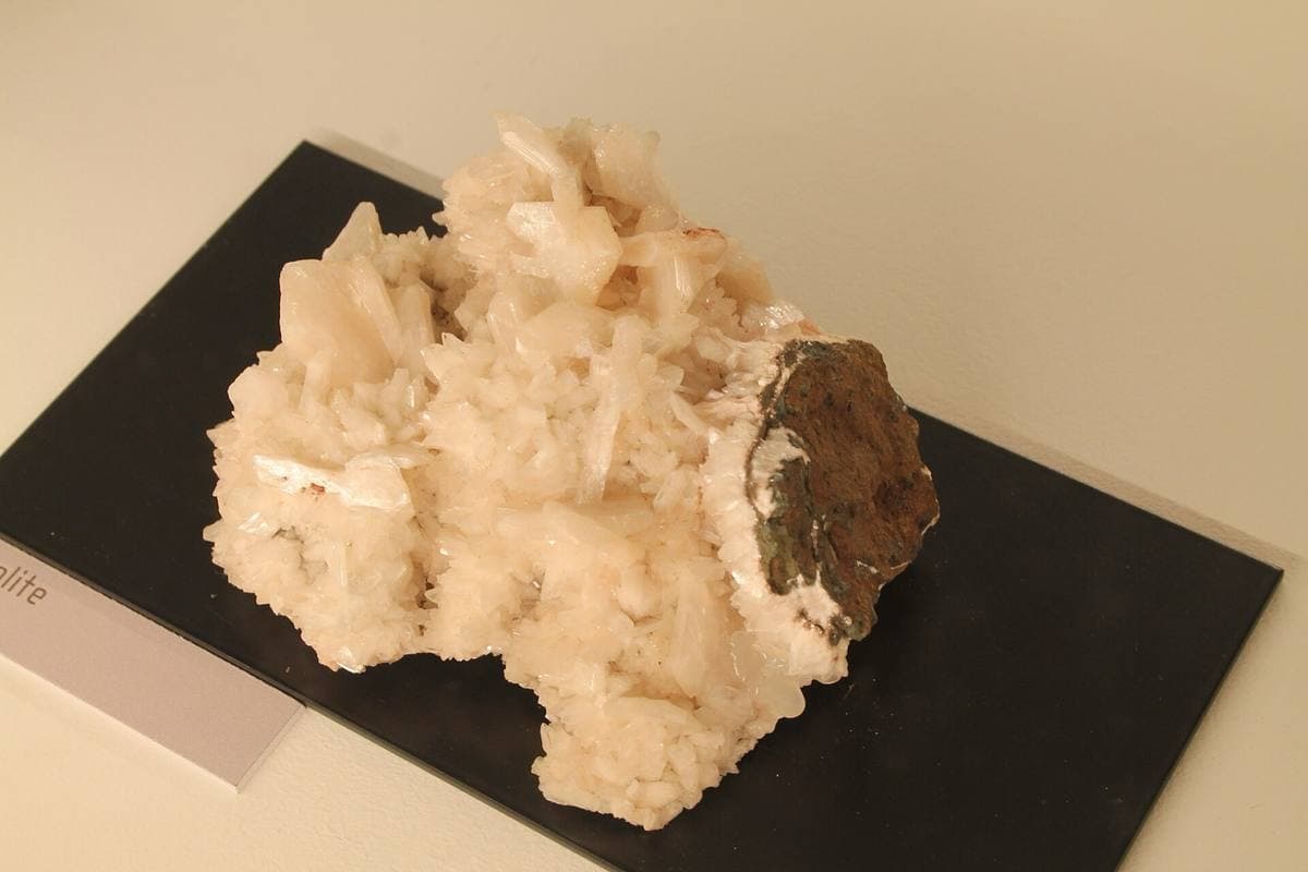Zeolite