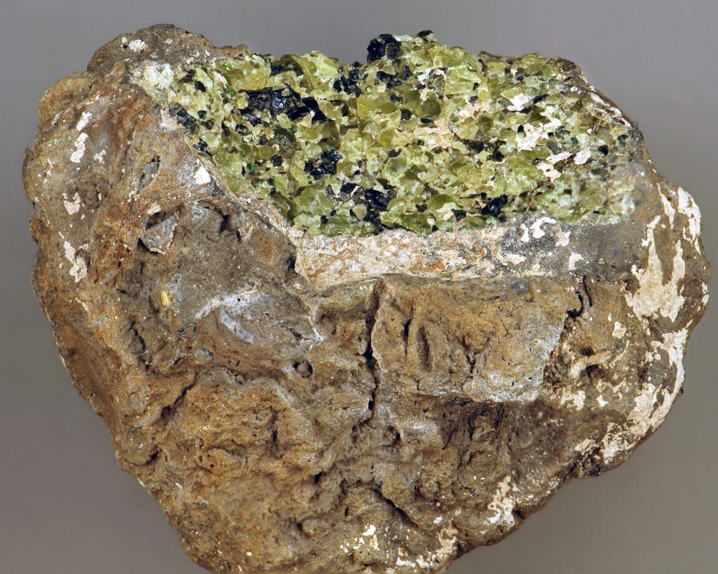 Lherzolite mantle xenolith in basalt (Afton Basalt Flow Upper  Pleistocene, 15 20 ka; Kilbourne Hole Crater, Aden Afton Basalt Field,  Potrillo Volcanic Field, southwestern New Mexico, USA) (15013320336) at Kilbourne Hole, Doña Ana County, New Mexico